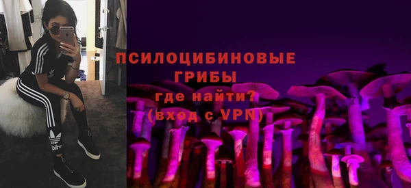 мяу мяу мука Магас