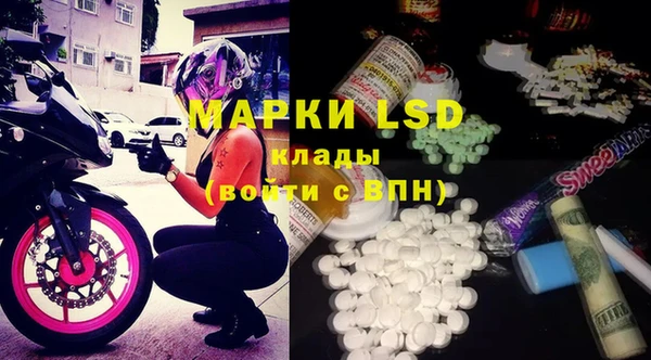 мяу мяу мука Магас