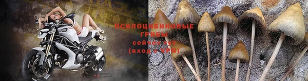 Альфа ПВП Анива